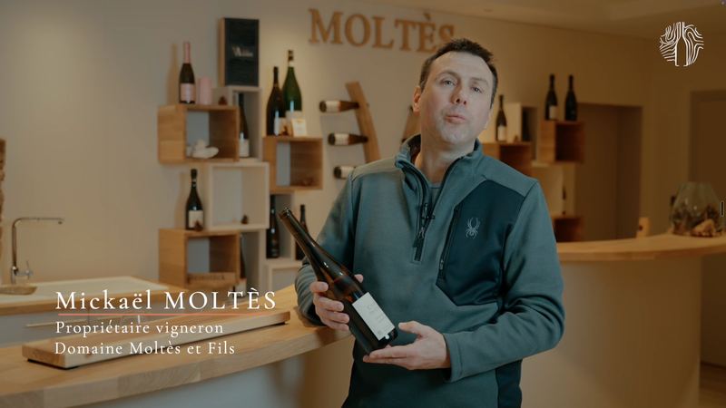 Mickaël Moltès, Domaine Moltès et Fils